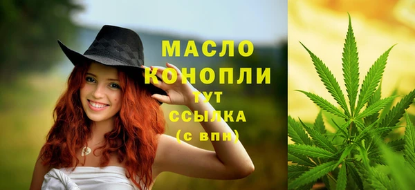 молекула духа Ладушкин