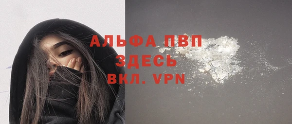 молекула духа Ладушкин