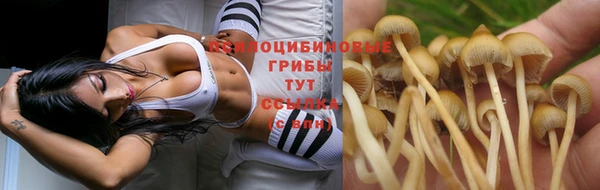 кокаин премиум Аша