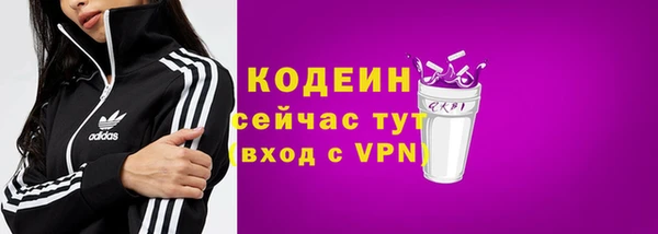 молекула духа Ладушкин