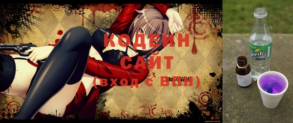 сатива Кулебаки