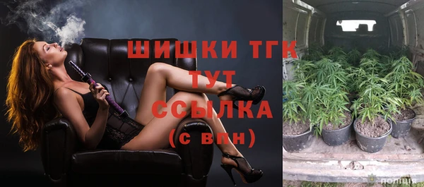 молекула духа Ладушкин