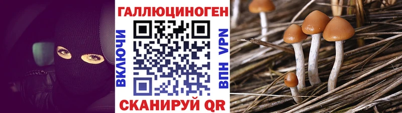 МЕГА ТОР  наркошоп  Лысьва  Галлюциногенные грибы прущие грибы 